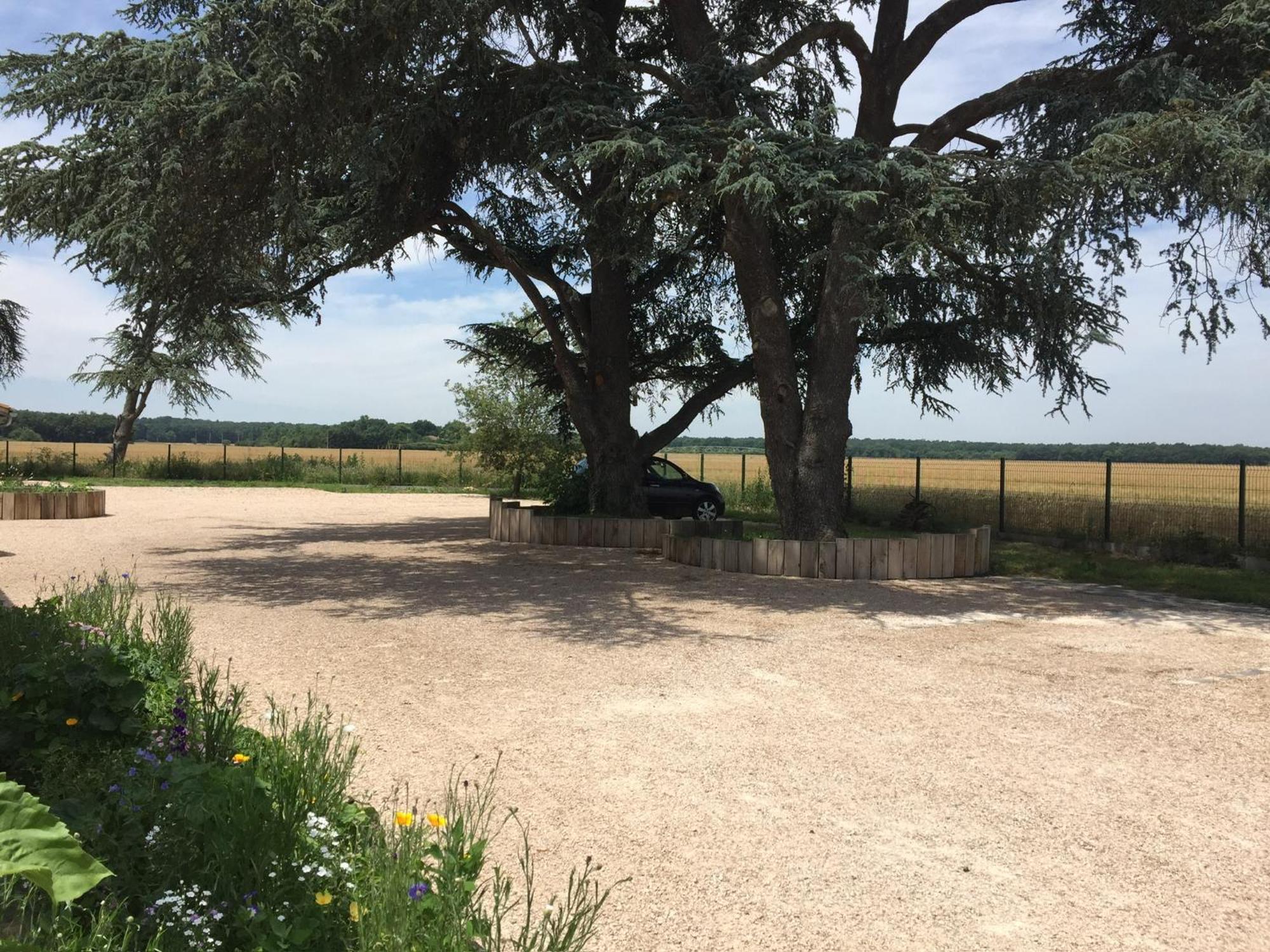 La Garoffe Bed & Breakfast Pibrac Bagian luar foto
